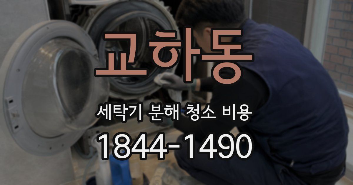 교하동 세탁기 분해 청소 비용