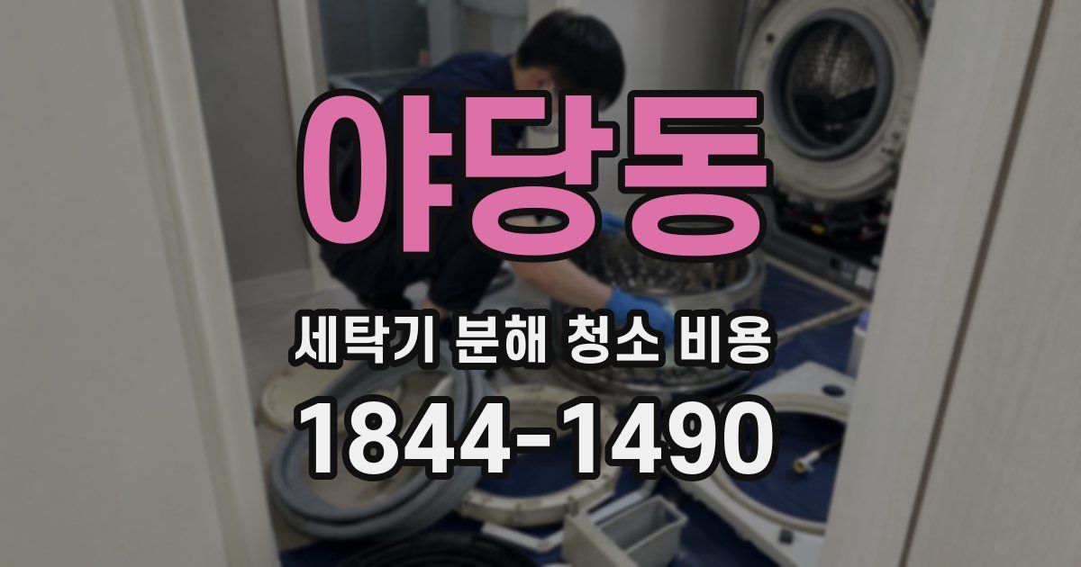 야당동 세탁기 분해 청소 비용