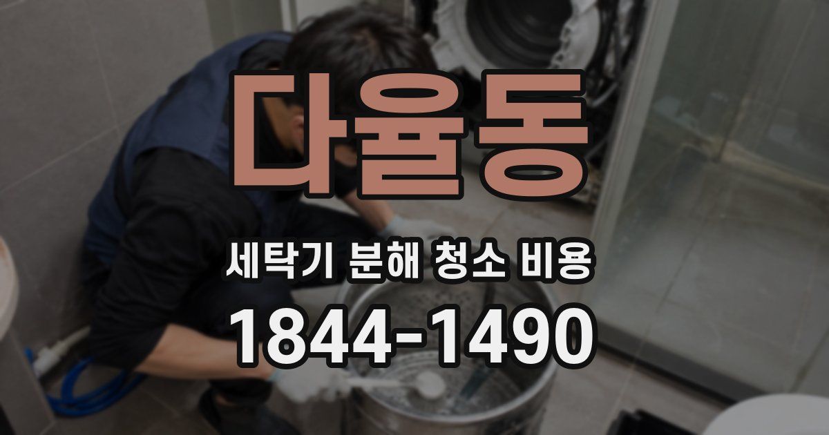 다율동 세탁기 분해 청소 비용