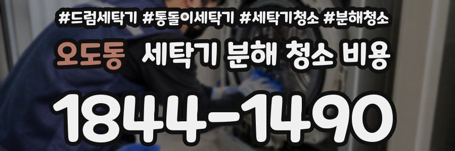 오도동 세탁기 분해 청소 비용