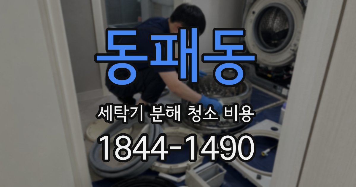 동패동 세탁기 분해 청소 비용