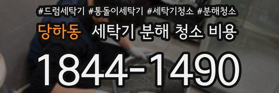 당하동 세탁기 분해 청소 비용