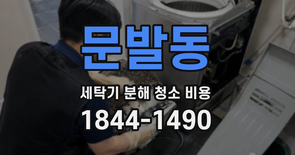 문발동 세탁기 분해 청소 비용
