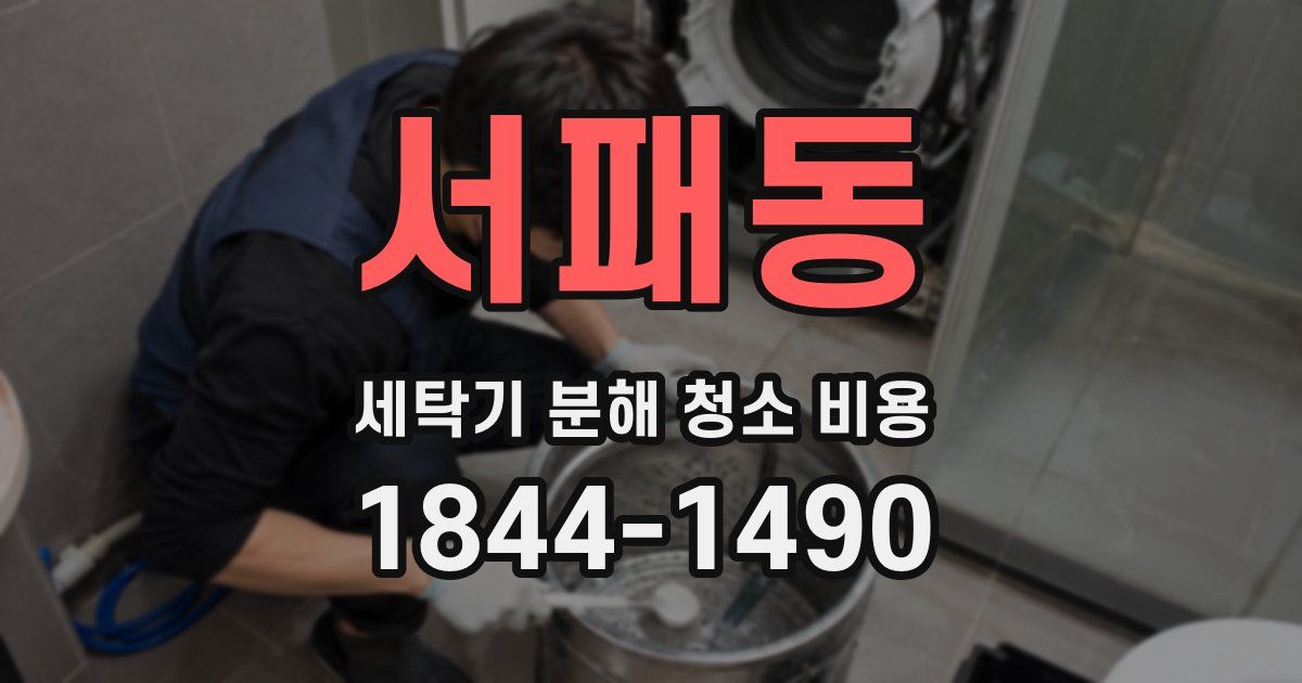 서패동 세탁기 분해 청소 비용