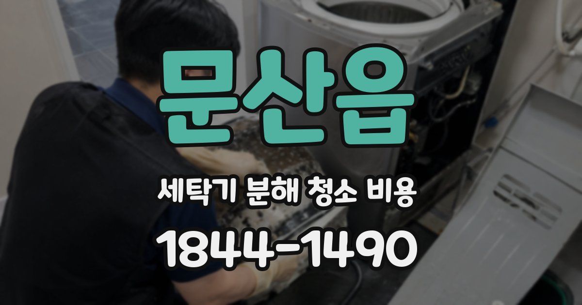 문산읍 세탁기 분해 청소 비용