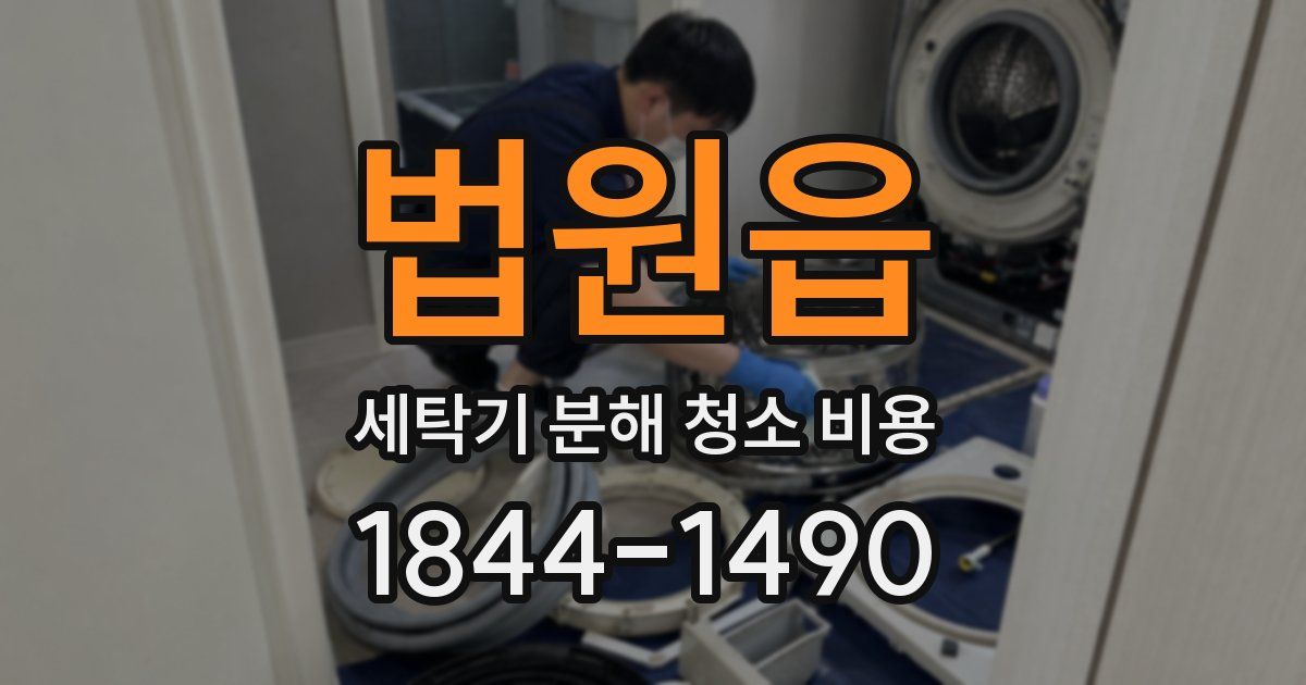 법원읍 세탁기 분해 청소 비용