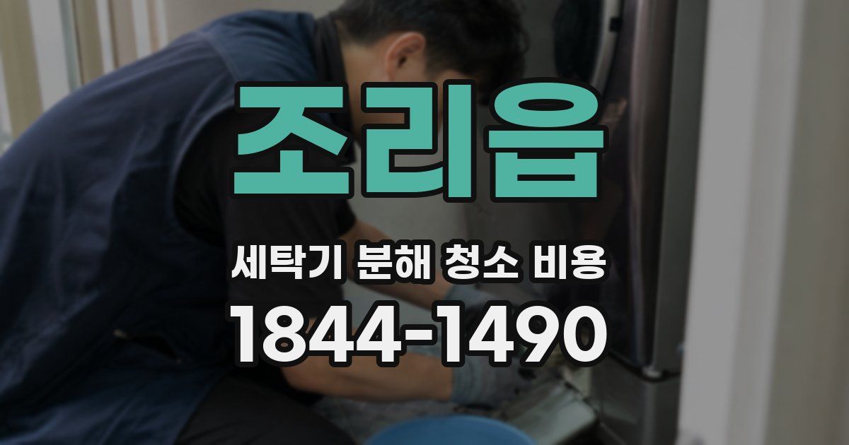조리읍 세탁기 분해 청소 비용