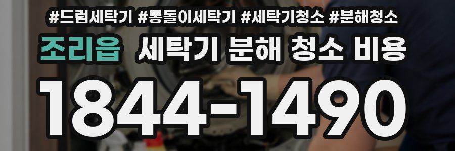 조리읍 세탁기 분해 청소 비용
