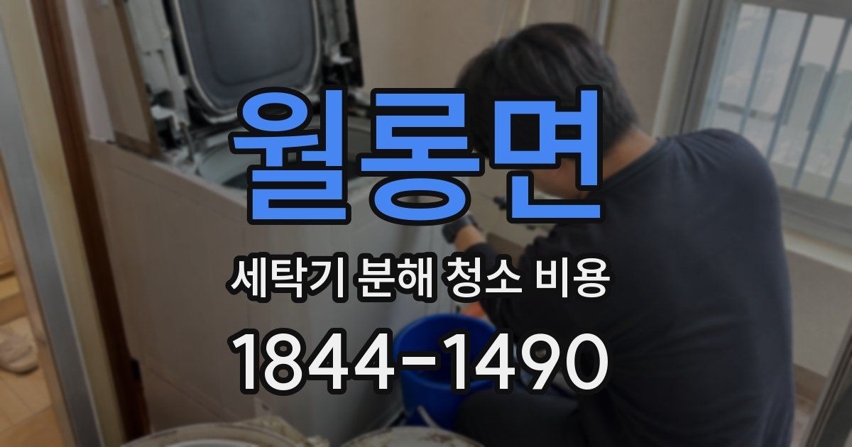 월롱면 세탁기 분해 청소 비용