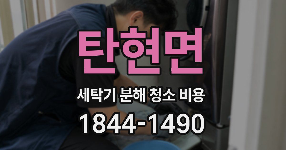 탄현면 세탁기 분해 청소 비용