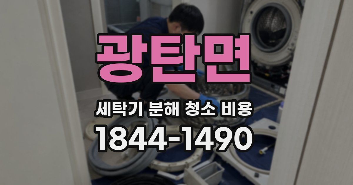 광탄면 세탁기 분해 청소 비용