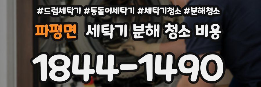 파평면 세탁기 분해 청소 비용