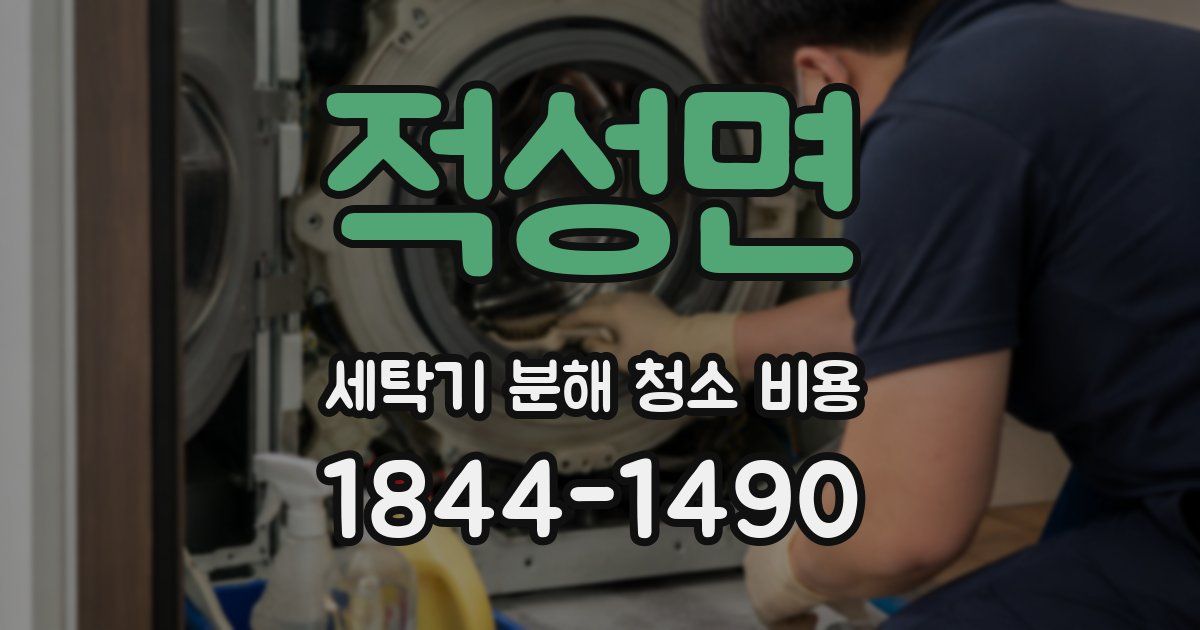 적성면 세탁기 분해 청소 비용