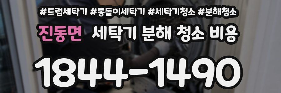 진동면 세탁기 분해 청소 비용