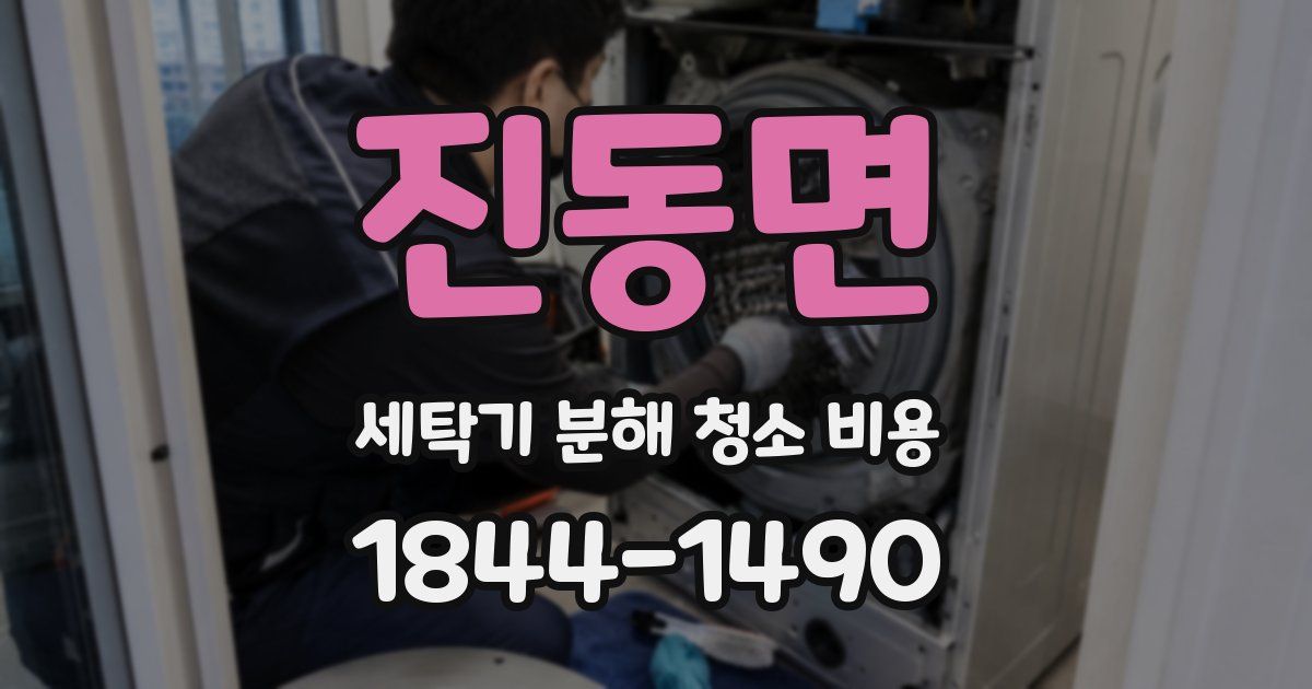 진동면 세탁기 분해 청소 비용