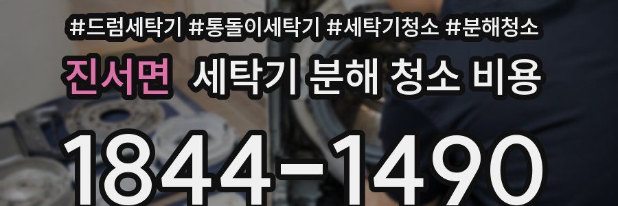 진서면 세탁기 분해 청소 비용