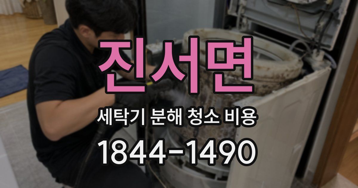 진서면 세탁기 분해 청소 비용