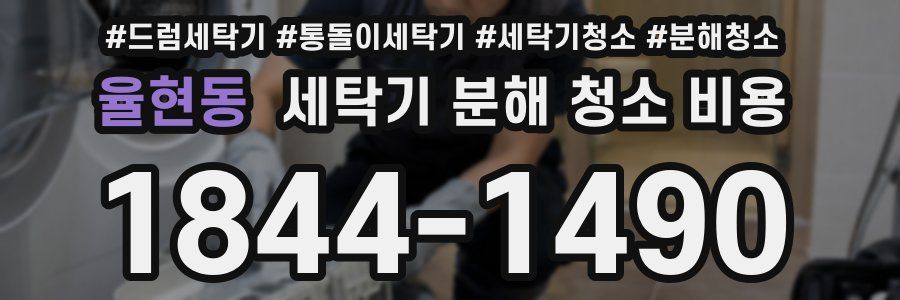 율현동 세탁기 분해 청소 비용