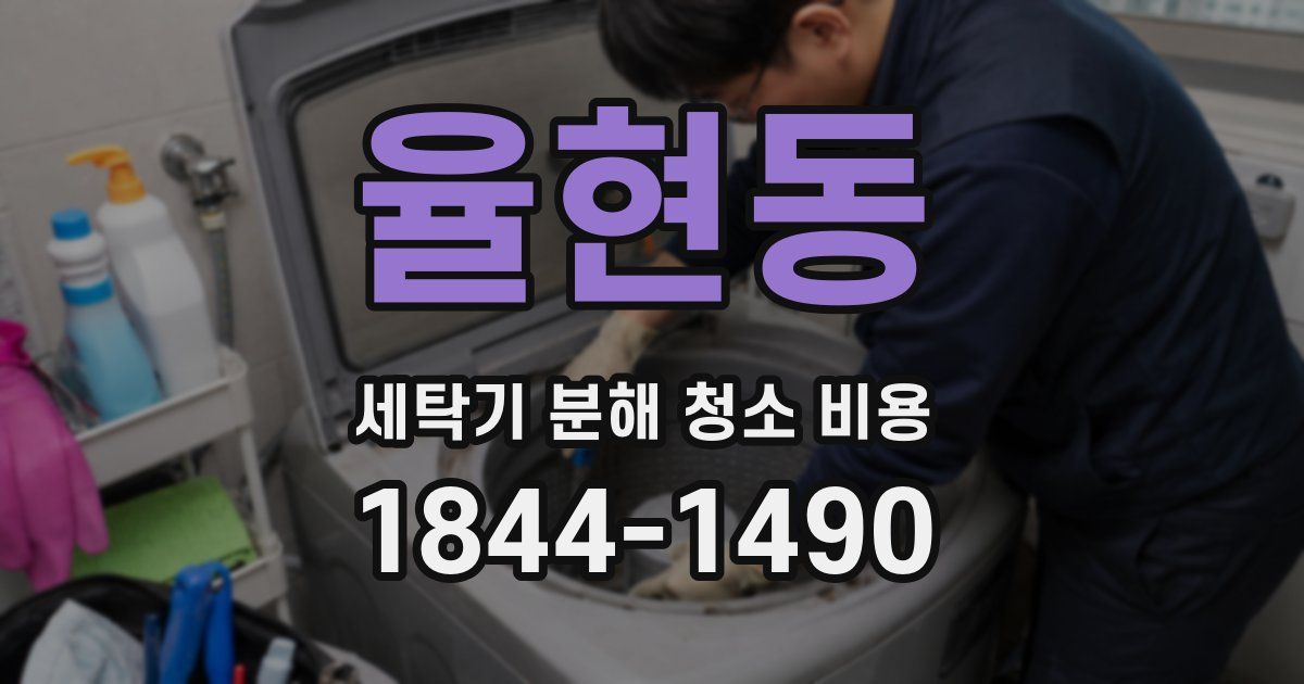 율현동 세탁기 분해 청소 비용