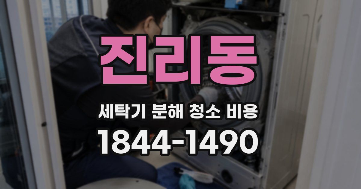 진리동 세탁기 분해 청소 비용