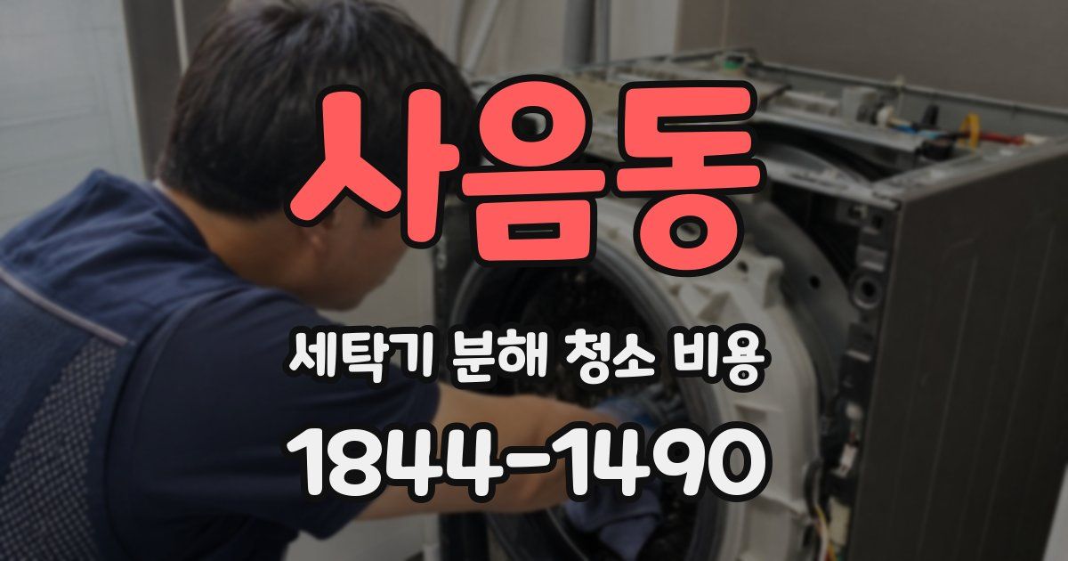 사음동 세탁기 분해 청소 비용