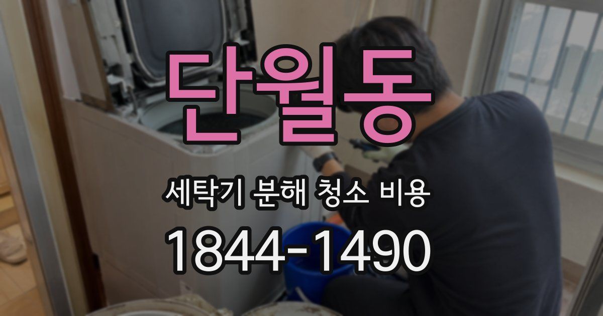 단월동 세탁기 분해 청소 비용