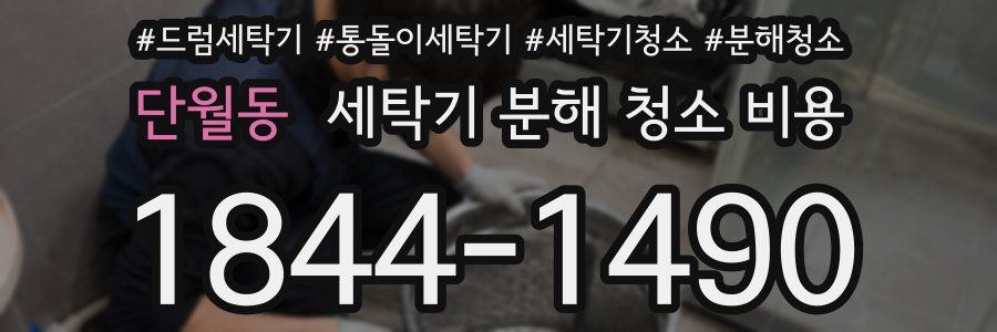 단월동 세탁기 분해 청소 비용