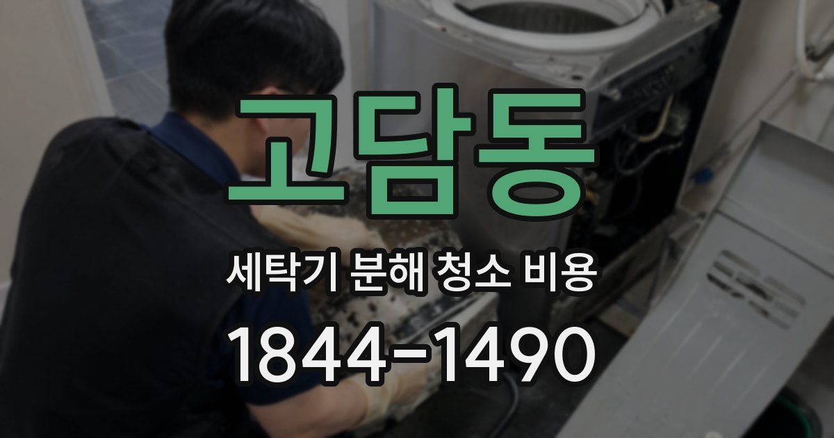 고담동 세탁기 분해 청소 비용