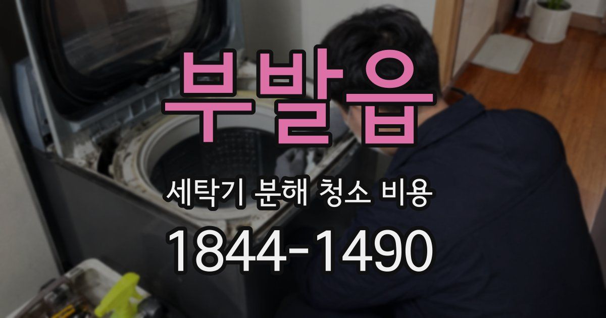 부발읍 세탁기 분해 청소 비용