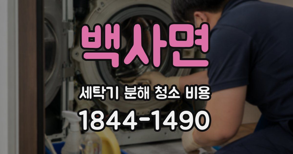 백사면 세탁기 분해 청소 비용