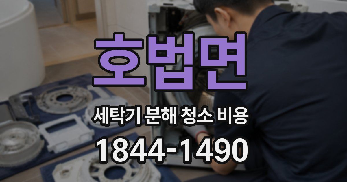 호법면 세탁기 분해 청소 비용