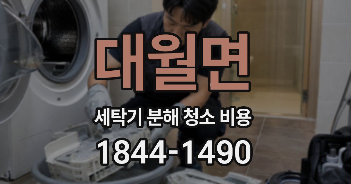 대월면 세탁기 분해 청소 비용