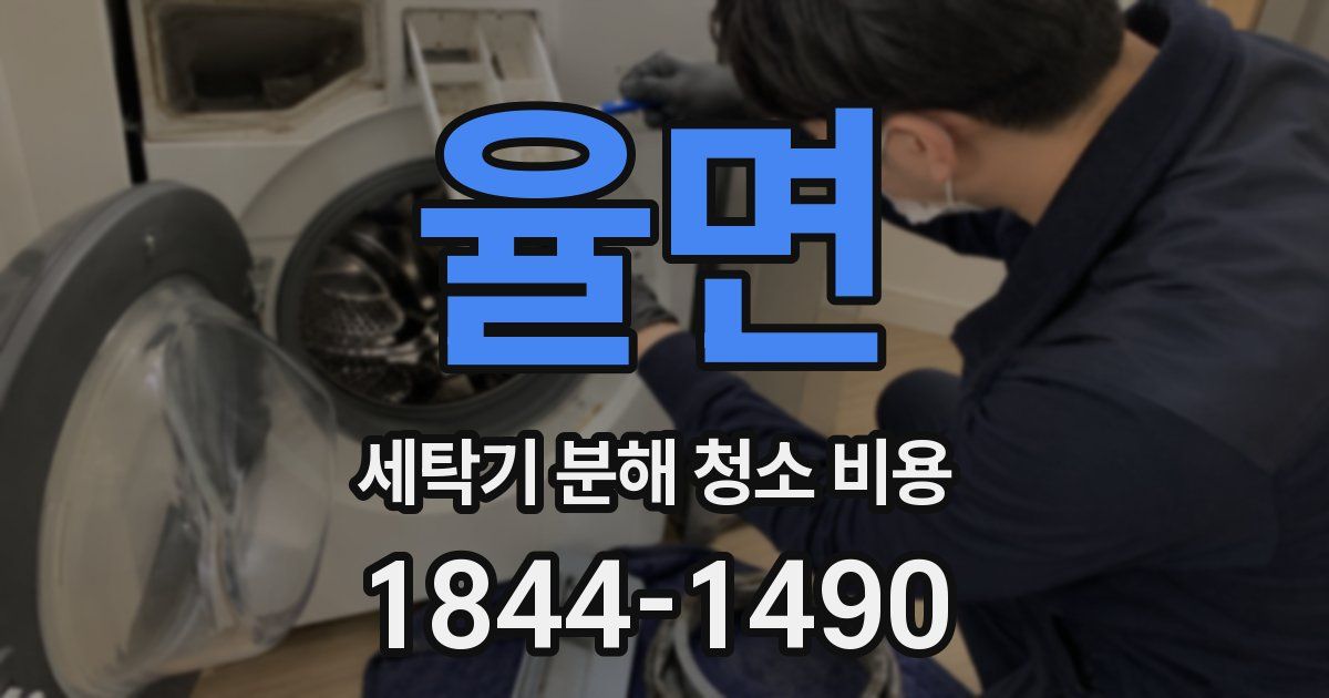 율면 세탁기 분해 청소 비용