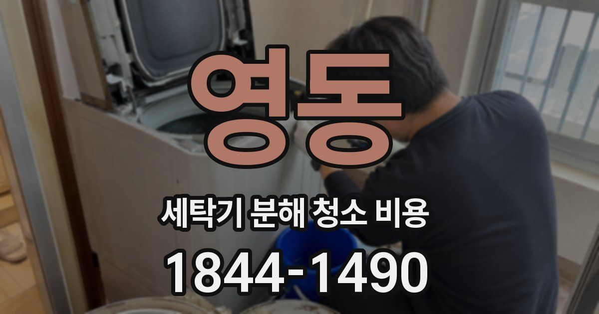 영동 세탁기 분해 청소 비용