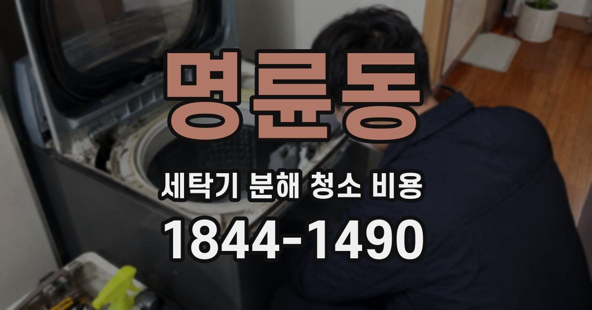 명륜동 세탁기 분해 청소 비용