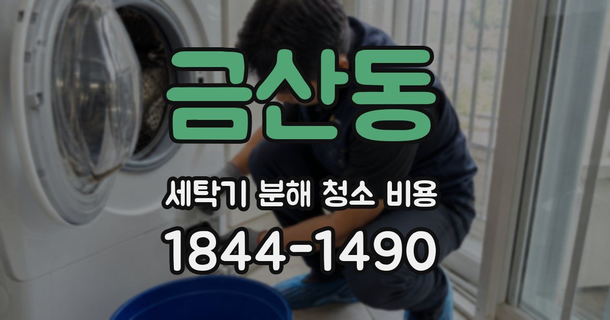 금산동 세탁기 분해 청소 비용