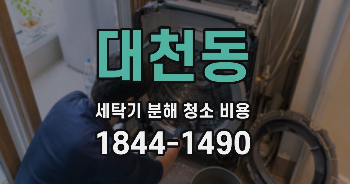 대천동 세탁기 분해 청소 비용
