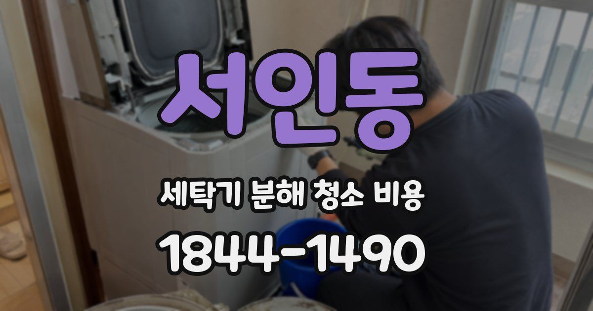 서인동 세탁기 분해 청소 비용