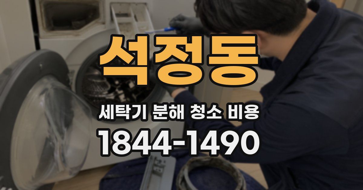 석정동 세탁기 분해 청소 비용
