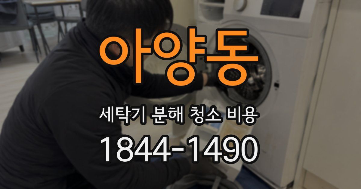 아양동 세탁기 분해 청소 비용