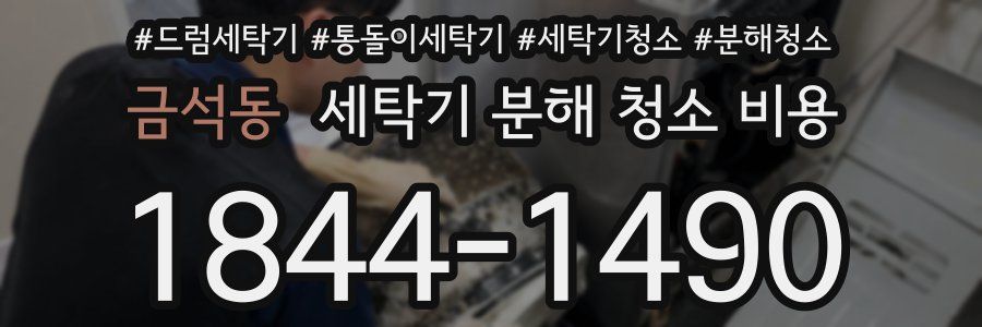 금석동 세탁기 분해 청소 비용