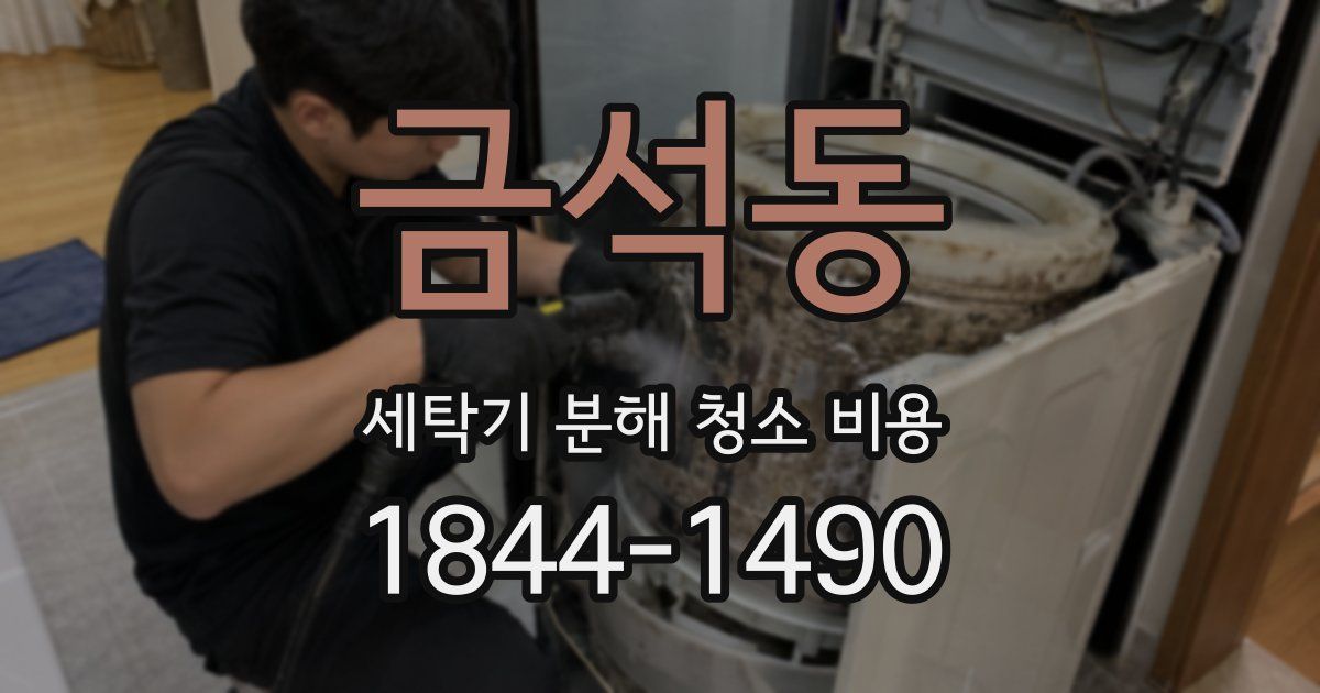 금석동 세탁기 분해 청소 비용