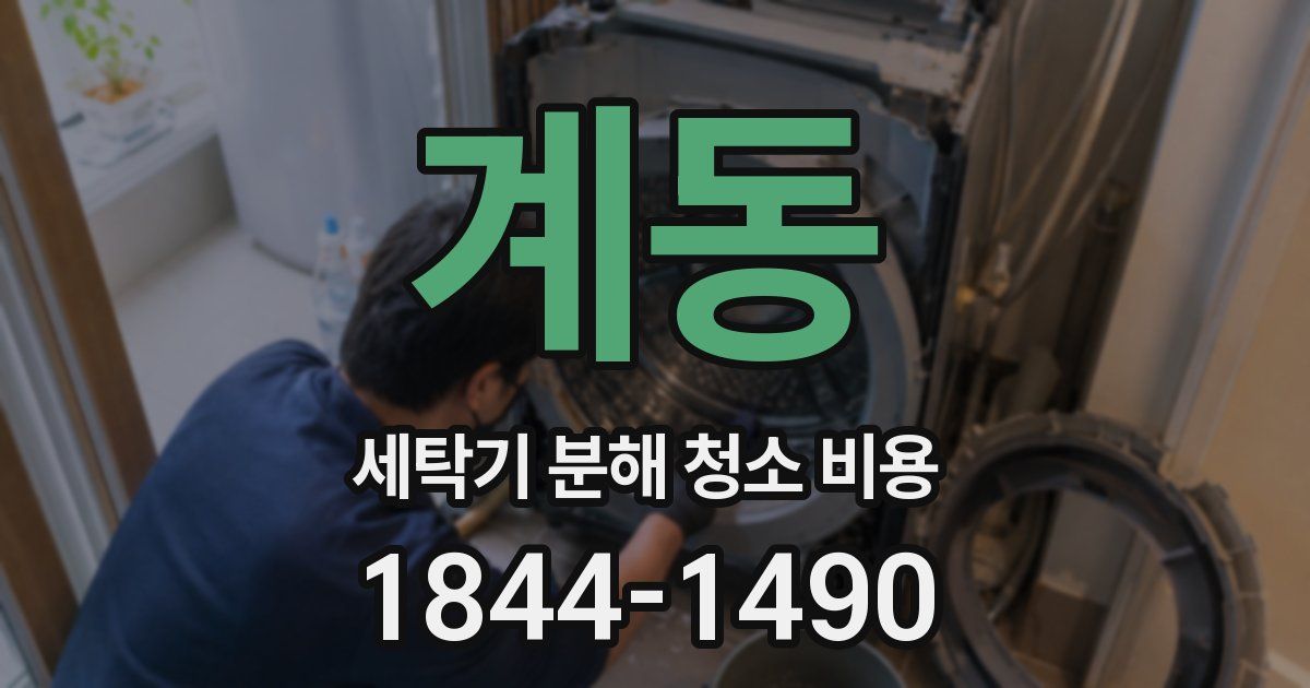계동 세탁기 분해 청소 비용