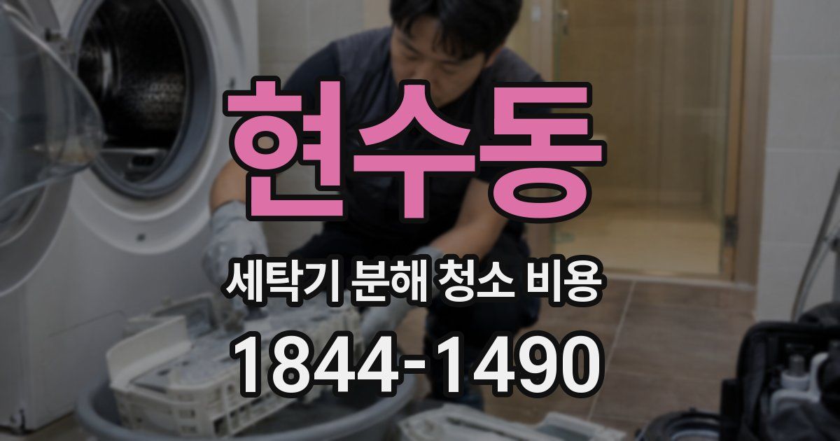 현수동 세탁기 분해 청소 비용