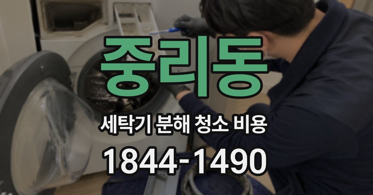 중리동 세탁기 분해 청소 비용
