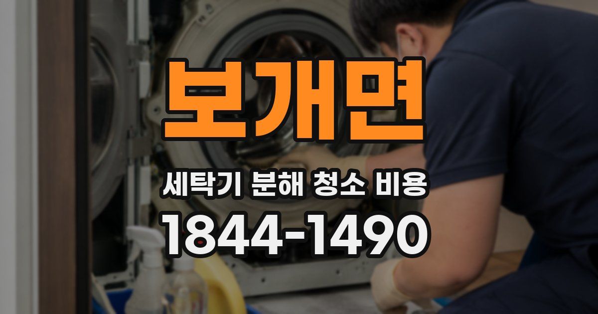 보개면 세탁기 분해 청소 비용