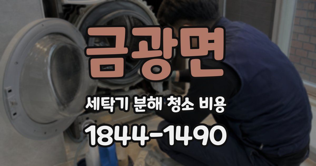 금광면 세탁기 분해 청소 비용