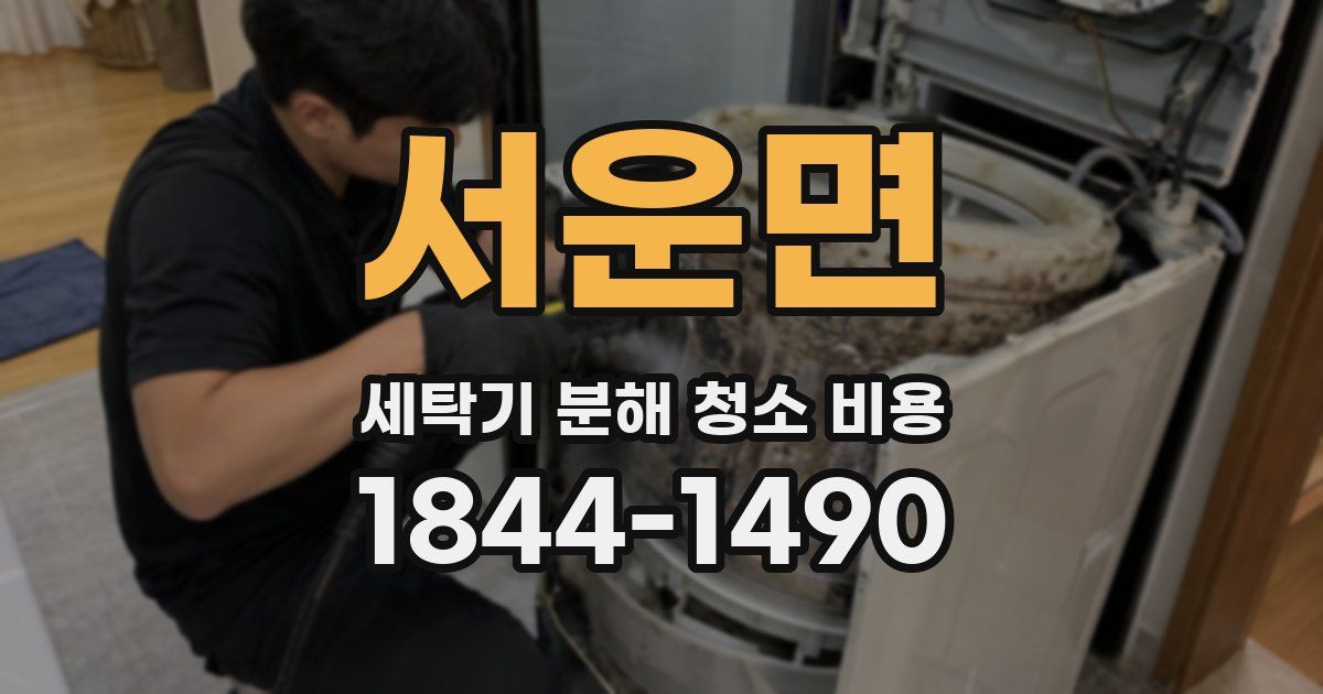 서운면 세탁기 분해 청소 비용