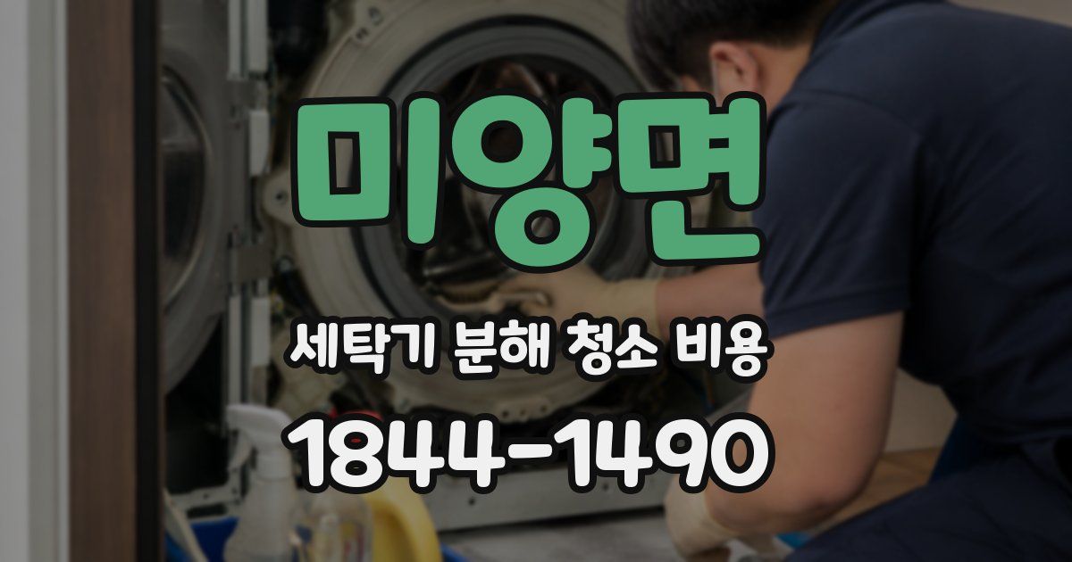 미양면 세탁기 분해 청소 비용