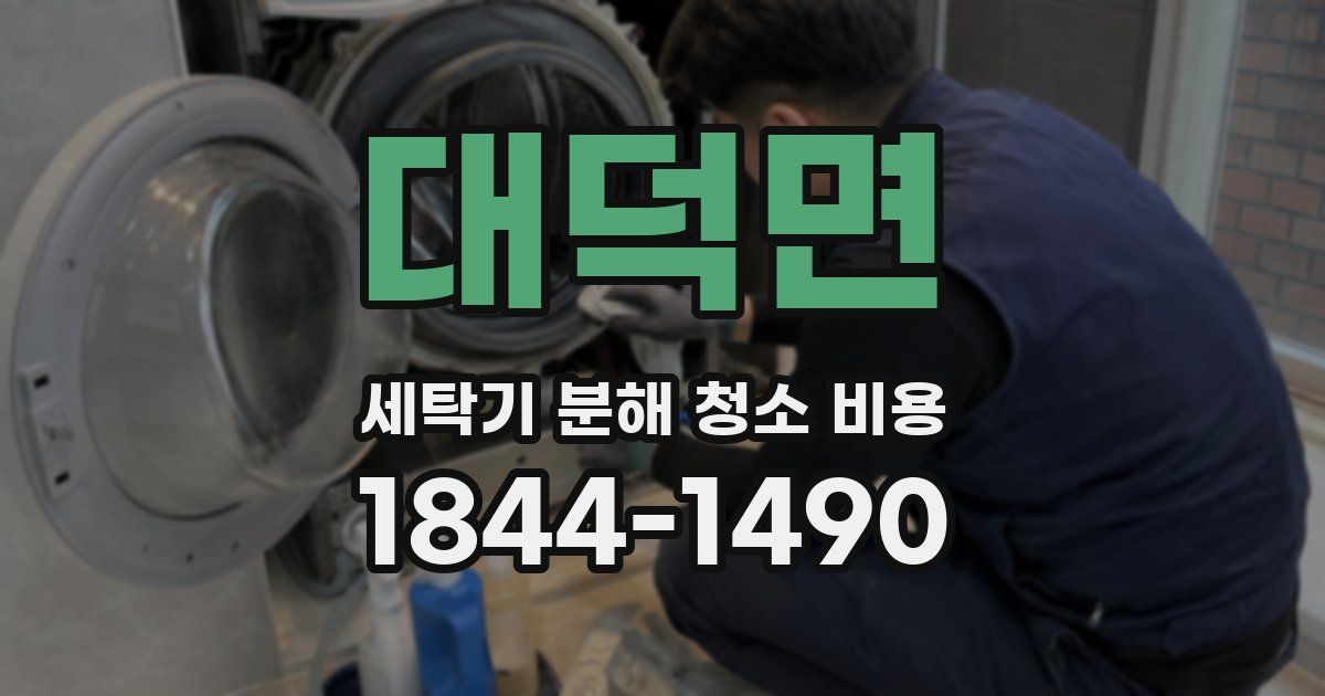 대덕면 세탁기 분해 청소 비용